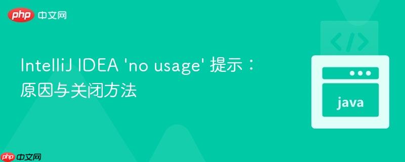 IntelliJ IDEA ‘no usage’ 提示：原因与关闭方法