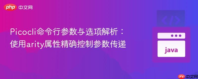 Picocli命令行参数与选项解析：使用arity属性精确控制参数传递