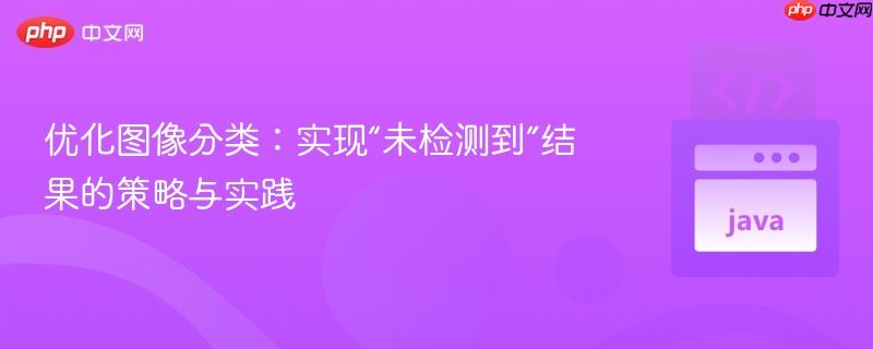 优化图像分类：实现“未检测到”结果的策略与实践