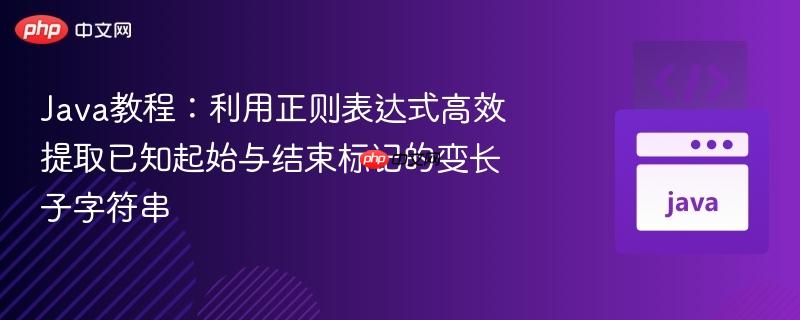 Java教程：利用正则表达式高效提取已知起始与结束标记的变长子字符串