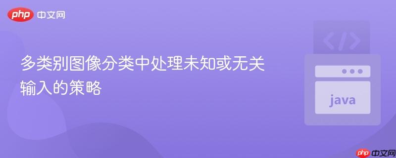 多类别图像分类中处理未知或无关输入的策略