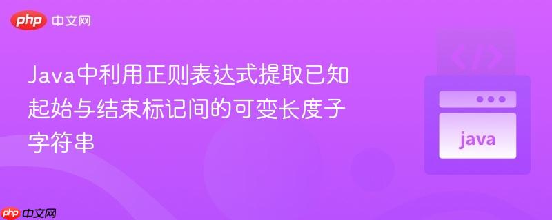 Java中利用正则表达式提取已知起始与结束标记间的可变长度子字符串