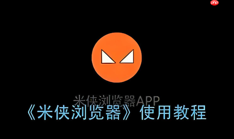 米侠浏览器截图功能失效怎么办 米侠浏览器权限检查