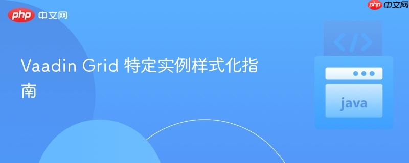 Vaadin Grid 特定实例样式化指南