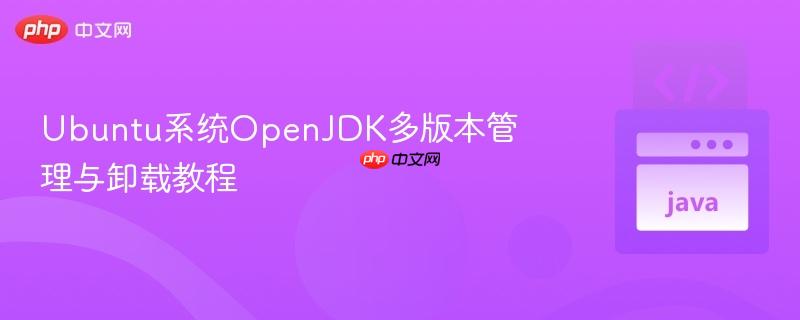 Ubuntu系统OpenJDK多版本管理与卸载教程