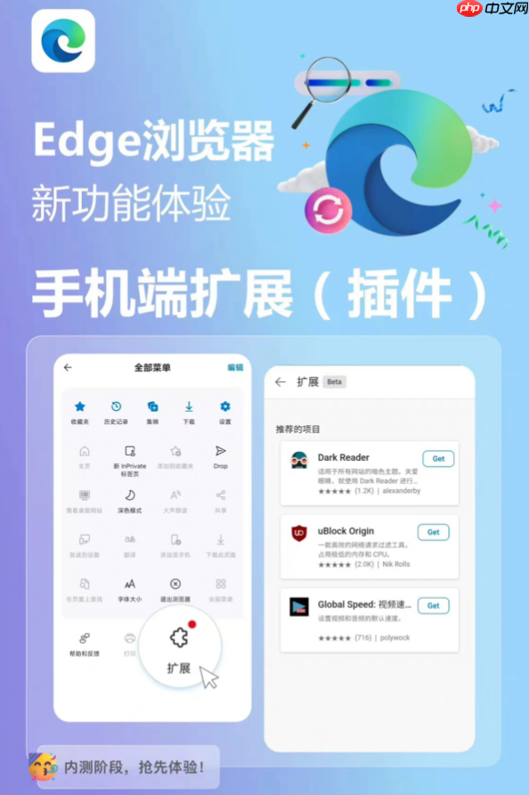 Microsoft Edge视频播放花屏怎么办 Microsoft Edge视频解码优化