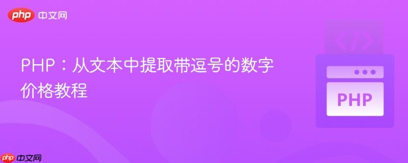 PHP：从文本中提取带逗号的数字价格教程