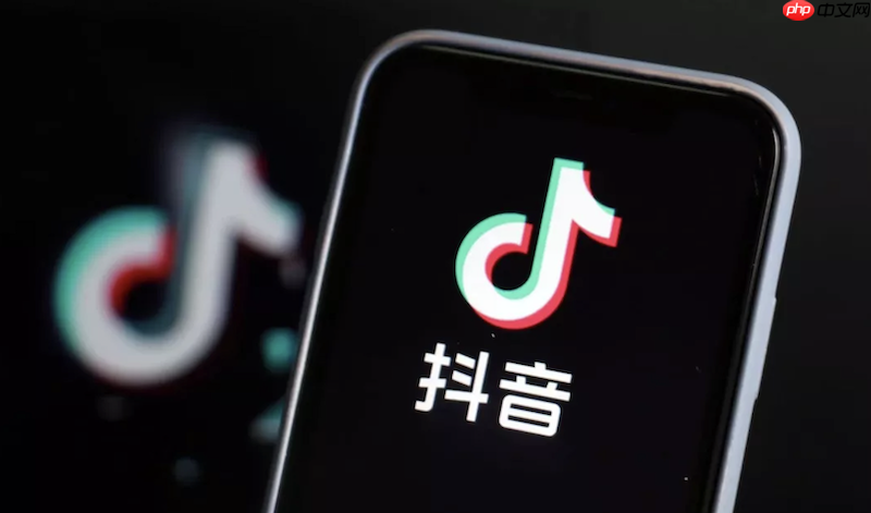 抖音网页版首页入口 抖音网页版快速访问指南