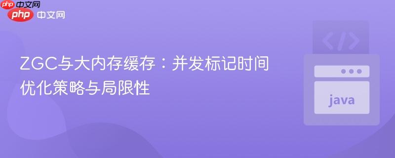 ZGC与大内存缓存：并发标记时间优化策略与局限性