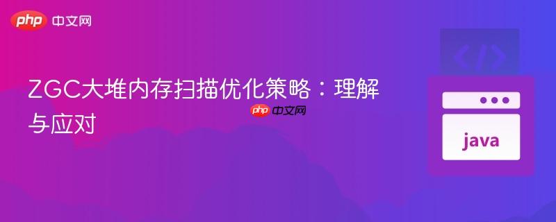 ZGC大堆内存扫描优化策略：理解与应对