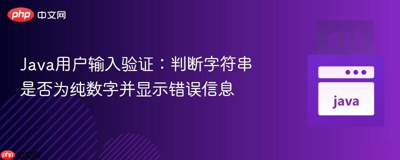 Java用户输入验证：判断字符串是否为纯数字并显示错误信息
