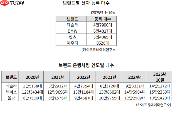 特斯拉在韩销量五年增长近十倍！1-10月售出47990辆