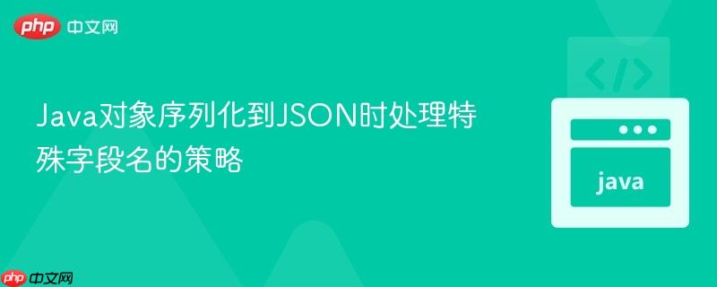 Java对象序列化到JSON时处理特殊字段名的策略