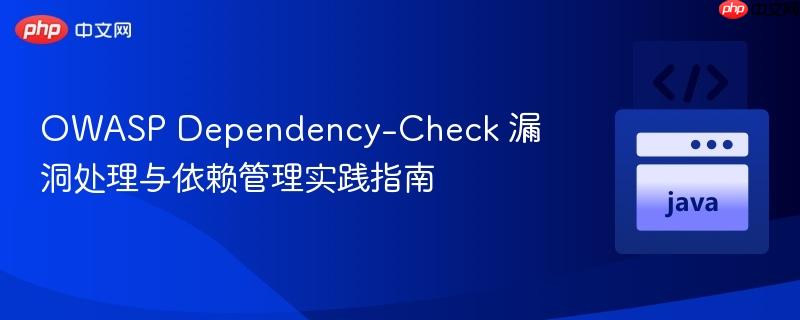 OWASP Dependency-Check 漏洞处理与依赖管理实践指南