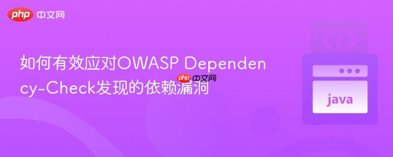 如何有效应对OWASP Dependency-Check发现的依赖漏洞