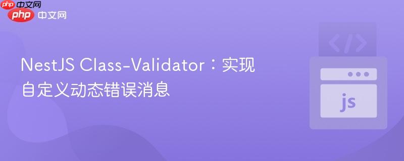 NestJS Class-Validator：实现自定义动态错误消息