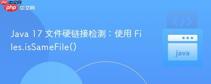Java 17 文件硬链接检测：使用 Files.isSameFile()