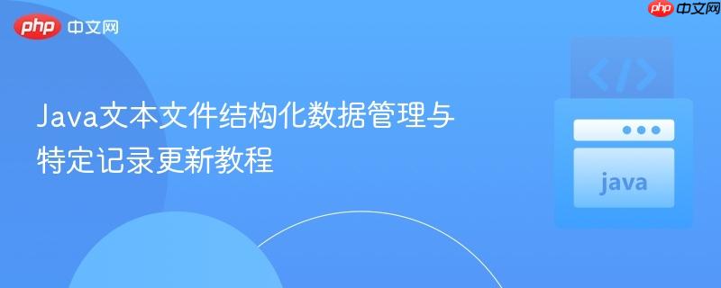 java文本文件结构化数据管理与特定记录更新教程