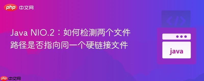 Java NIO.2：如何检测两个文件路径是否指向同一个硬链接文件