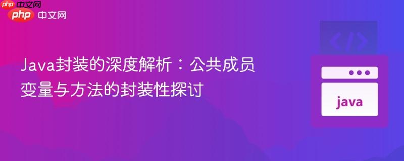 Java封装的深度解析：公共成员变量与方法的封装性探讨