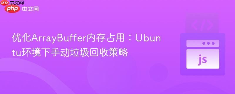 优化ArrayBuffer内存占用：Ubuntu环境下手动垃圾回收策略