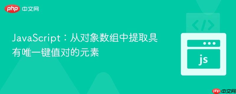 JavaScript：从对象数组中提取具有唯一键值对的元素