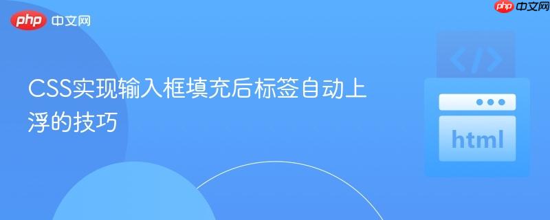 CSS实现输入框填充后标签自动上浮的技巧