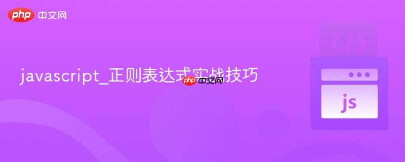javascript_正则表达式实战技巧
