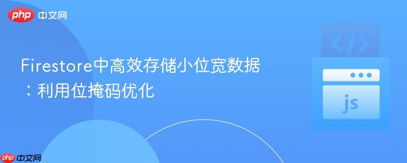 Firestore中高效存储小位宽数据：利用位掩码优化