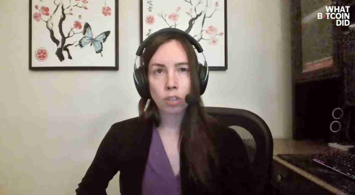 Lyn Alden：加密市场尚未达到”狂热水平“，比特币（BTC）不会出现重大崩盘