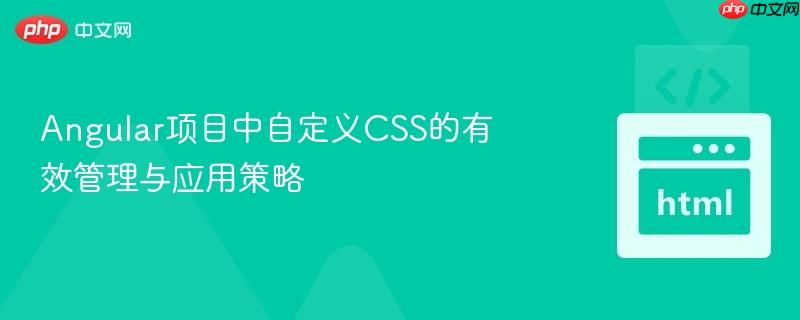 Angular项目中自定义CSS的有效管理与应用策略