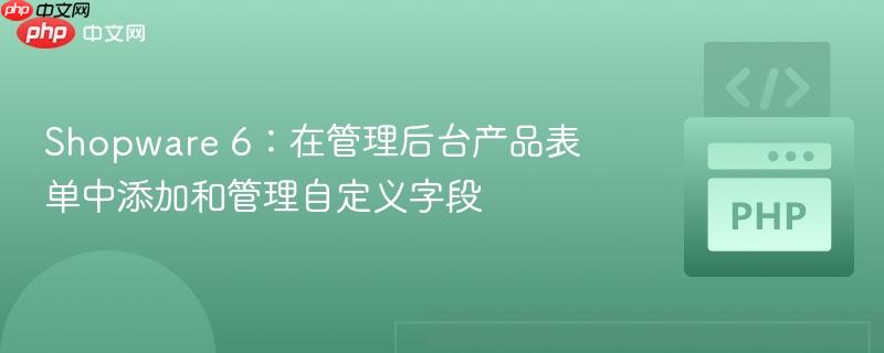 Shopware 6：在管理后台产品表单中添加和管理自定义字段