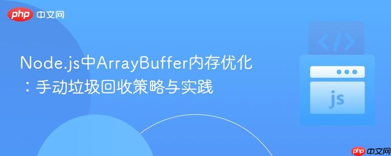 Node.js中ArrayBuffer内存优化：手动垃圾回收策略与实践