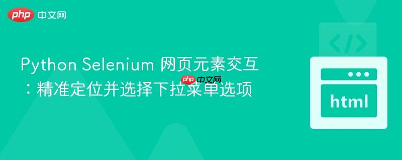 Python Selenium 网页元素交互：精准定位并选择下拉菜单选项
