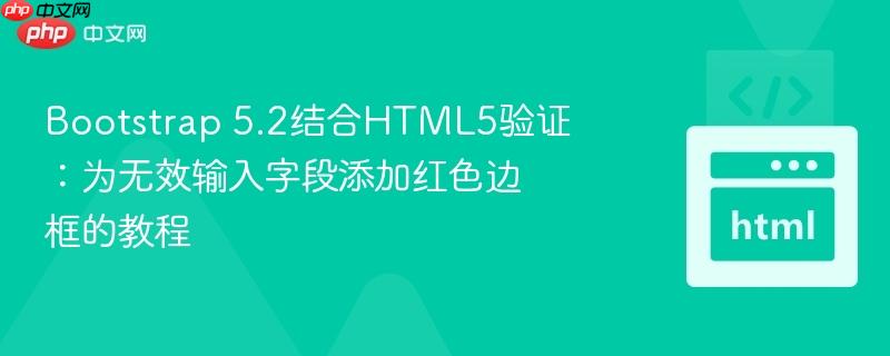 Bootstrap 5.2结合HTML5验证：为无效输入字段添加红色边框的教程