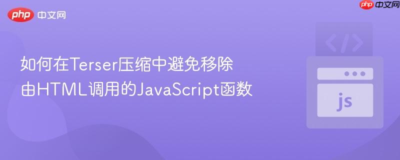 如何在Terser压缩中避免移除由HTML调用的JavaScript函数