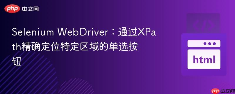 Selenium WebDriver：通过XPath精确定位特定区域的单选按钮