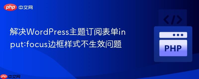 解决WordPress主题订阅表单input:focus边框样式不生效问题