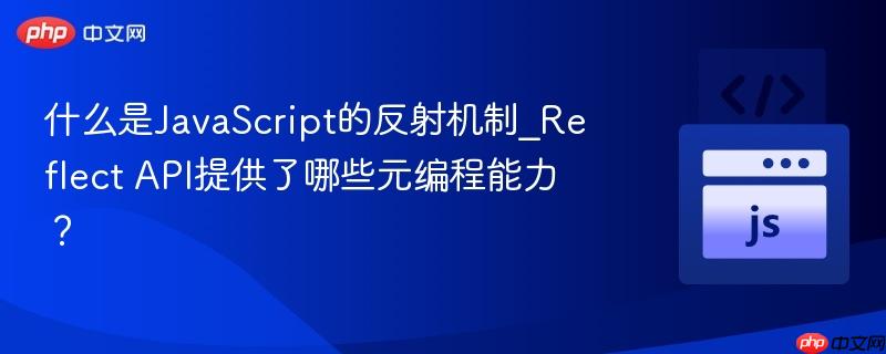 什么是JavaScript的反射机制_Reflect API提供了哪些元编程能力？