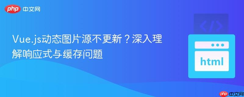 Vue.js动态图片源不更新？深入理解响应式与缓存问题