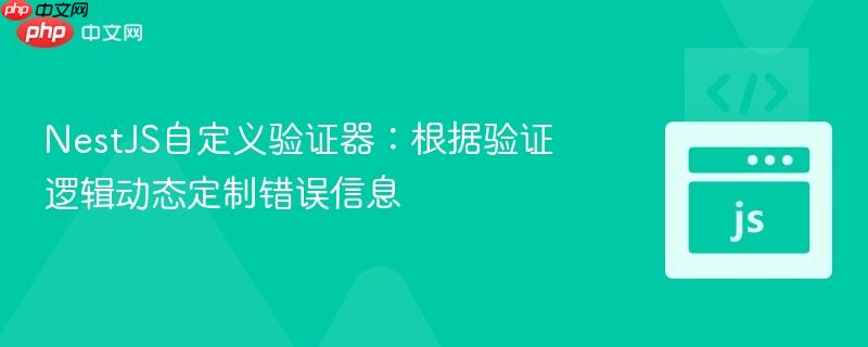 NestJS自定义验证器：根据验证逻辑动态定制错误信息