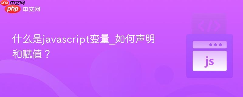 什么是javascript变量_如何声明和赋值？