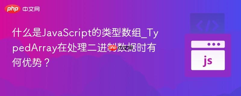 什么是JavaScript的类型数组_TypedArray在处理二进制数据时有何优势？