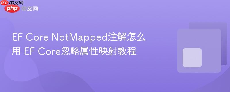 EF Core NotMapped注解怎么用 EF Core忽略属性映射教程