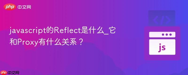 javascript的Reflect是什么_它和Proxy有什么关系？