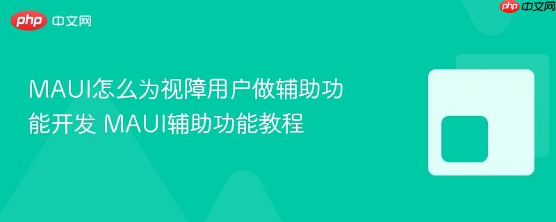 MAUI怎么为视障用户做辅助功能开发 MAUI辅助功能教程