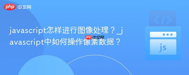 javascript怎样进行图像处理？_javascript中如何操作像素数据？