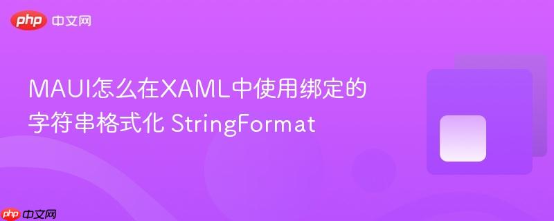 MAUI怎么在XAML中使用绑定的字符串格式化 StringFormat
