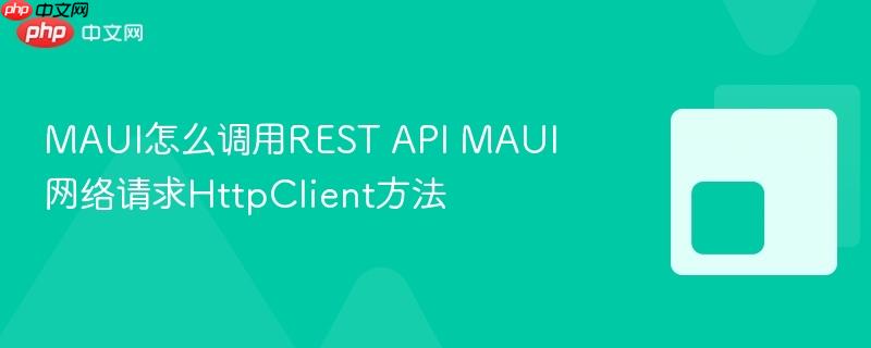 MAUI怎么调用REST API MAUI网络请求HttpClient方法