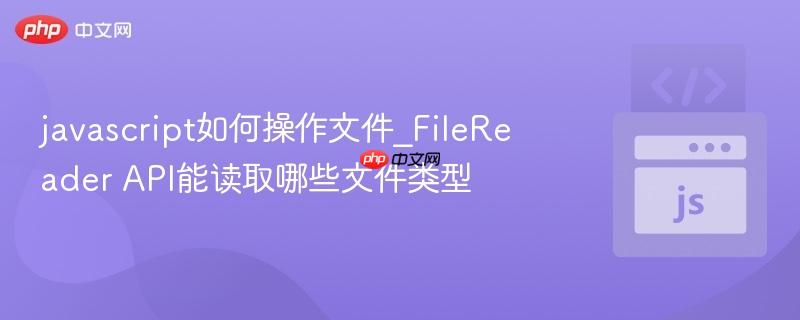 javascript如何操作文件_FileReader API能读取哪些文件类型